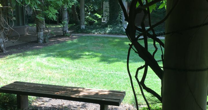 stone bench in outdoor garden